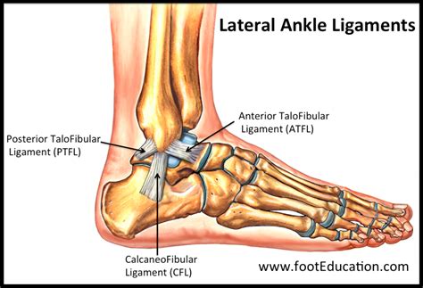 ankle lateral ligament tear test|lateral ligament ankle injury.